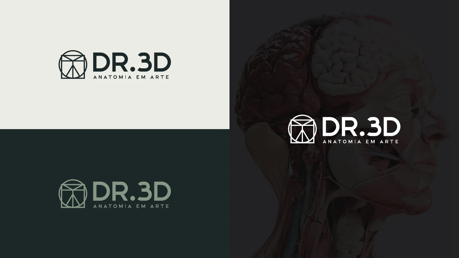 Dr.3D: versões do logotipo em fundos claros e escuros