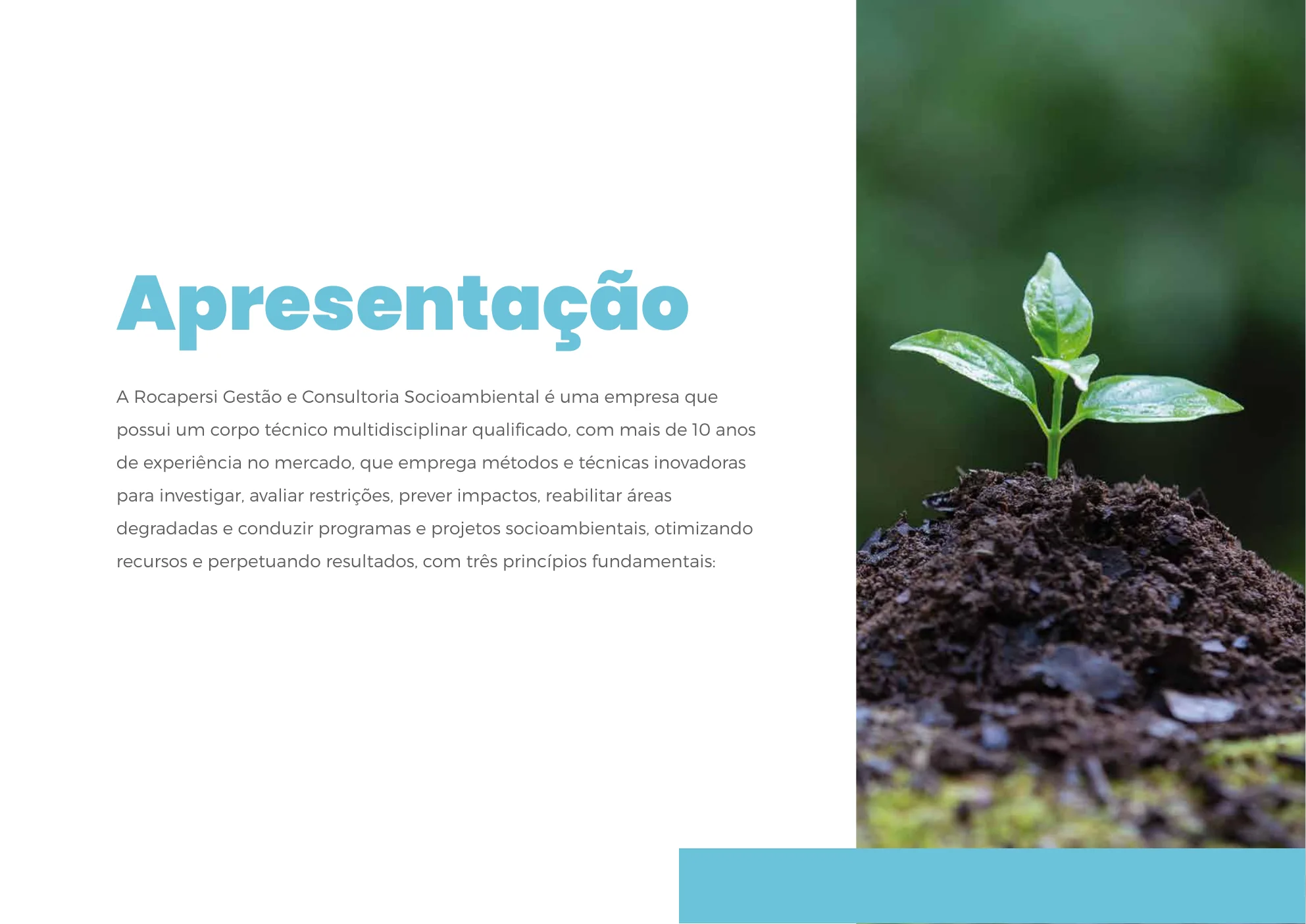 Slide de apresentação da Rocapersi
