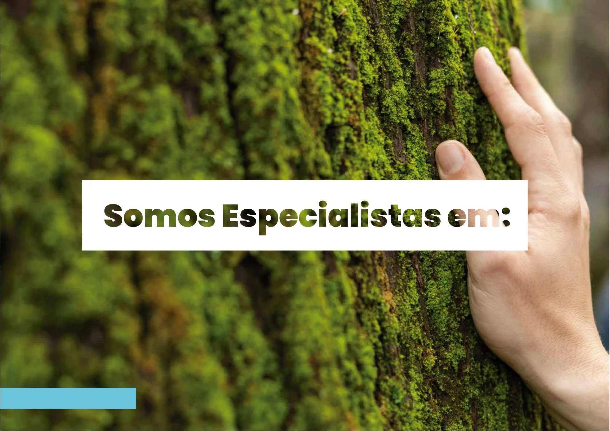 Slide Somos especialistas em