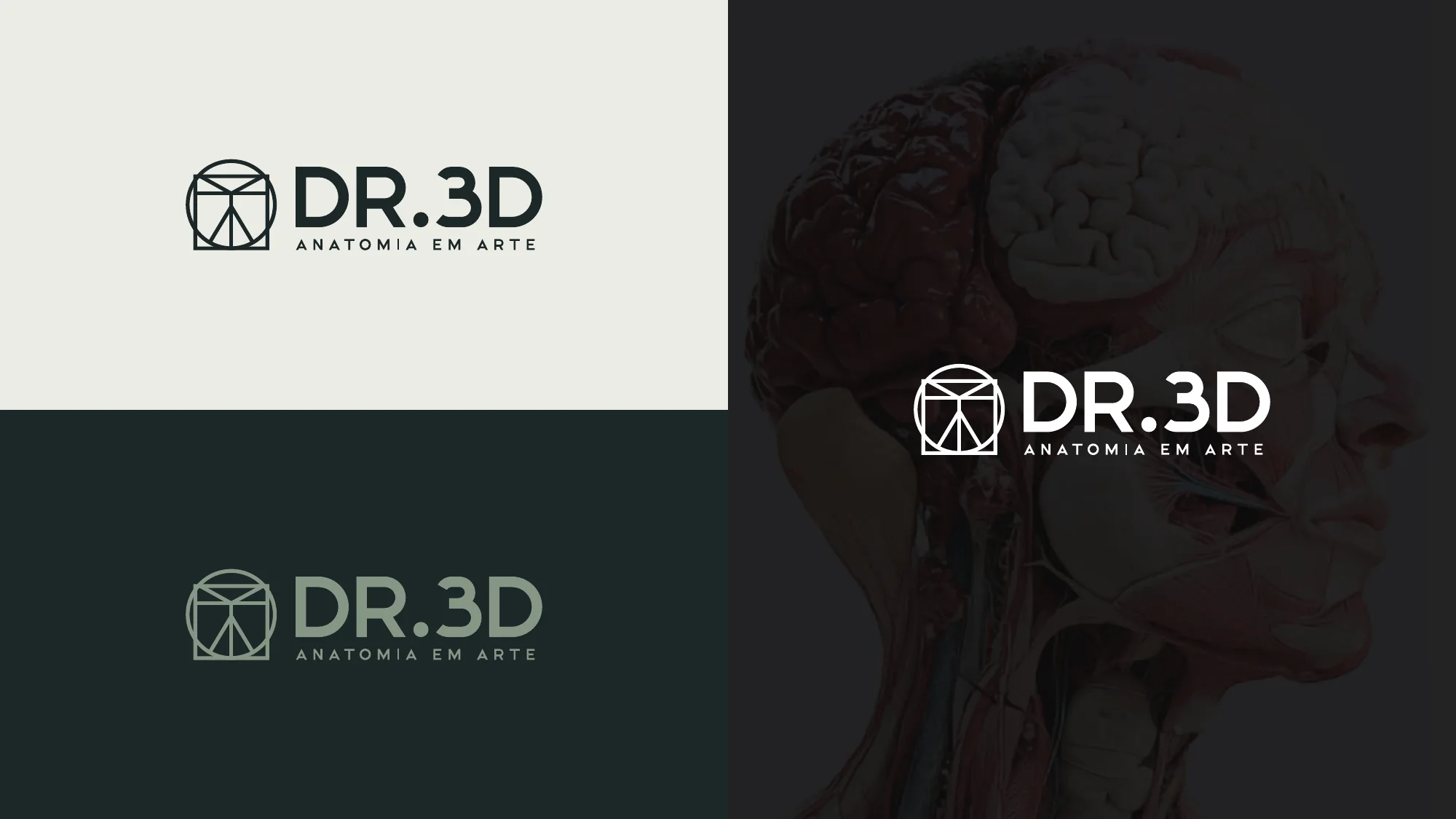 Versões do logotipo da Dr.3D em fundos claros e escuros